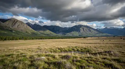 Забайкалье и природа: как развивается восточный край