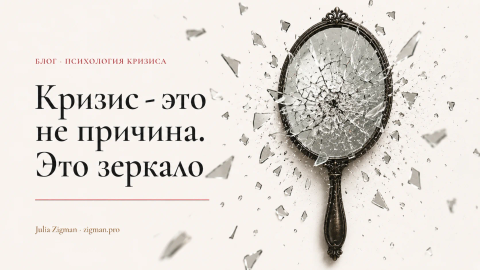 Кризис — это не причина. Это зеркало